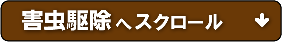 害虫駆除へスクロール