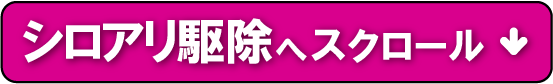 シロアリ駆除へスクロール